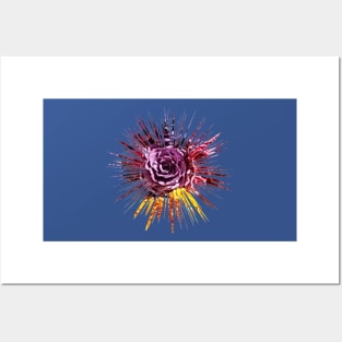 Bursting Purple Rose Posters and Art